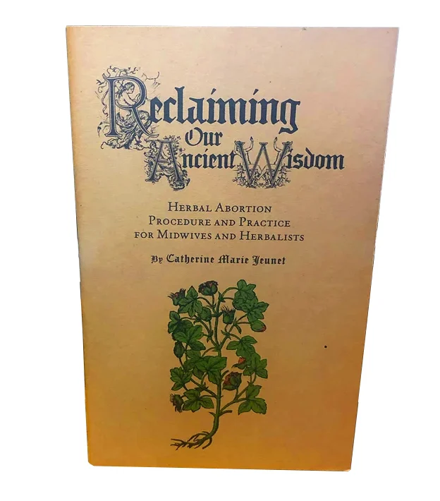 zine cover with yellow background and botanical illustration